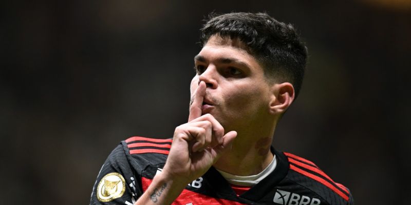 Thông tin tổng quan tiểu sử về Ayrton Lucas