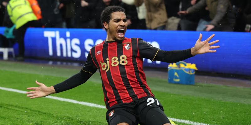 Giới Thiệu Chung Về Amine Adli