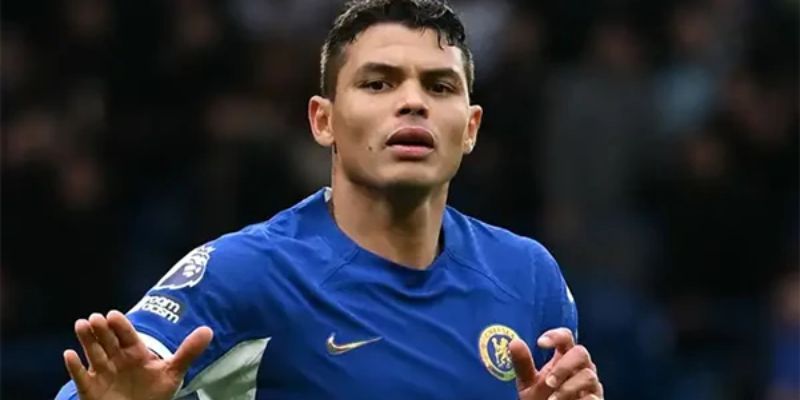 Hành Trình Sự Nghiệp Và Những Thành Công Nổi Bật