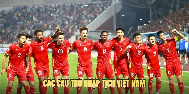 cac cau thu nhap tich viet nam