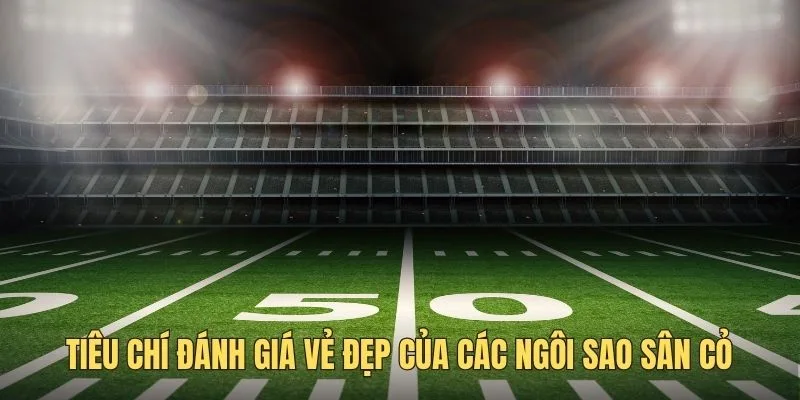 Tiêu chuẩn vàng đánh giá vẻ đẹp các ngôi sao tại World Cup 2026