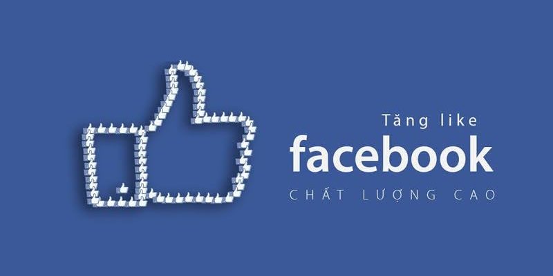 Dịch vụ tăng like Facebook uy tín tại Like5s.VN